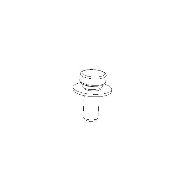 Screw for Main PCB 1/8"X19