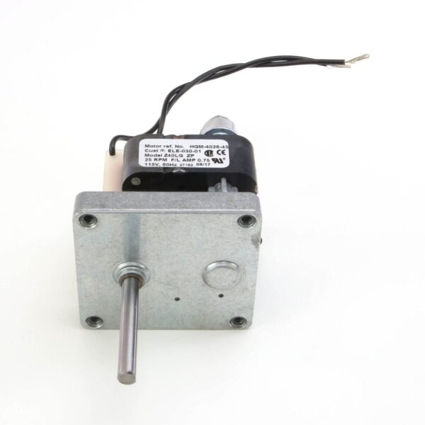 115V - 25 RPM AC Motor